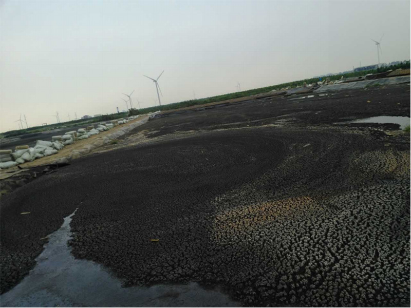 上海污泥坑生态治理