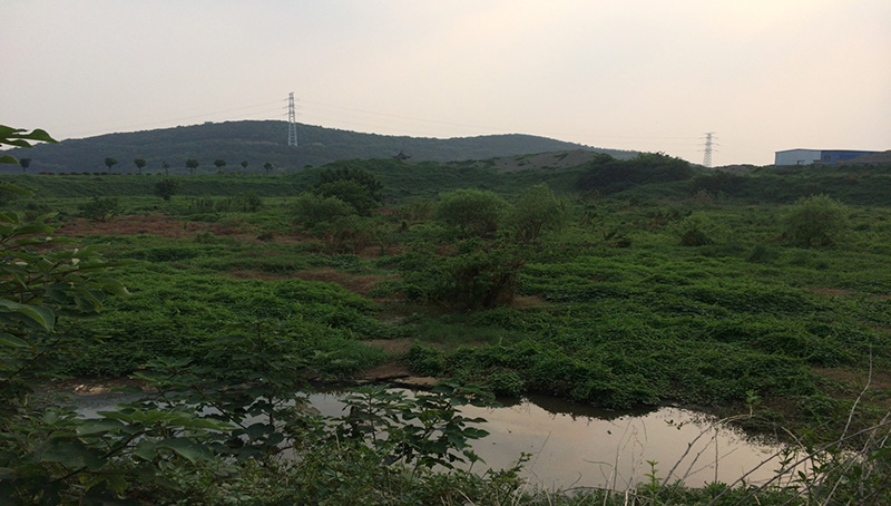 无锡污泥坑原状